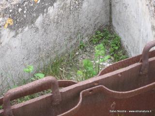 quedotto romano Valcorrente-27-02-2014 20-46-26